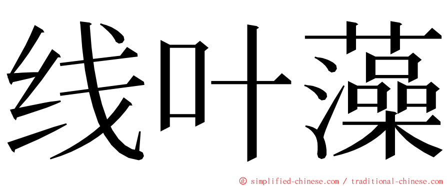 线叶藻 ming font