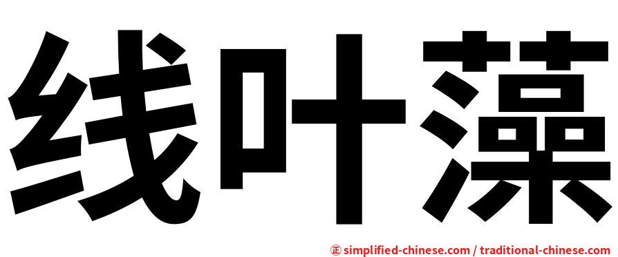 线叶藻