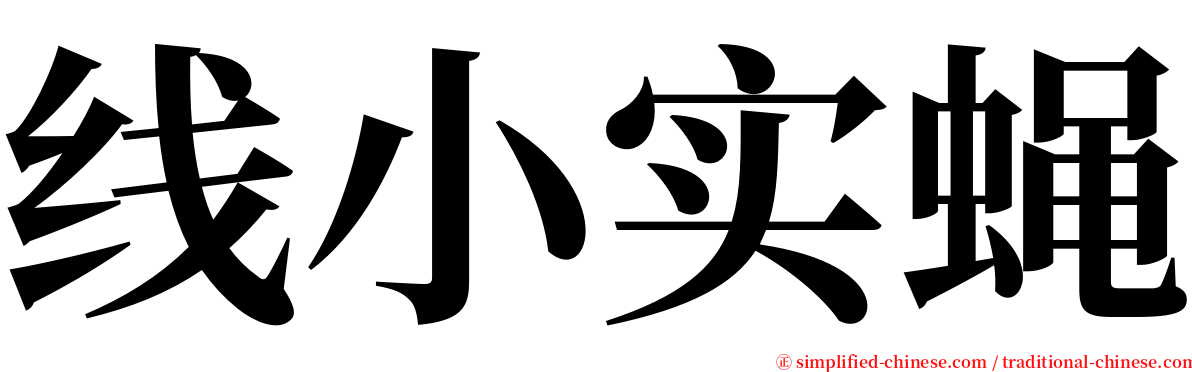 线小实蝇 serif font