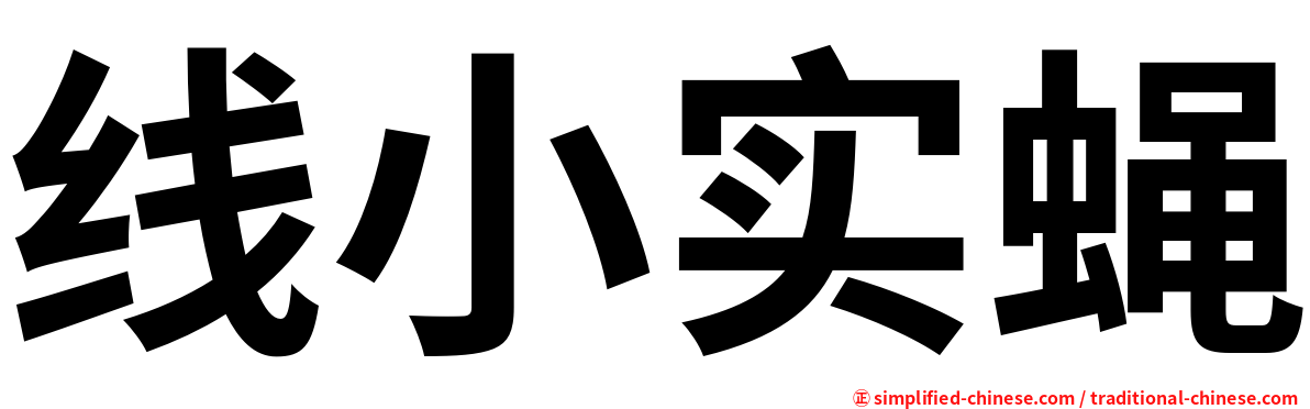 线小实蝇