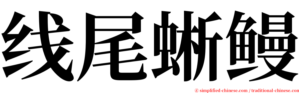 线尾蜥鳗 serif font