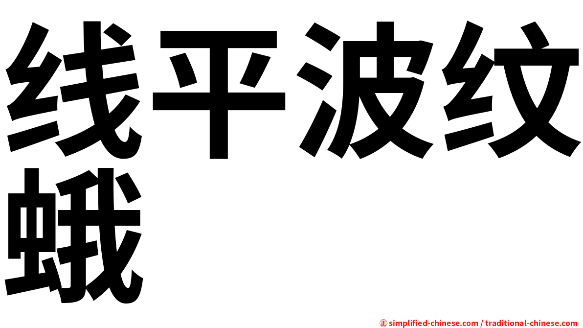 线平波纹蛾