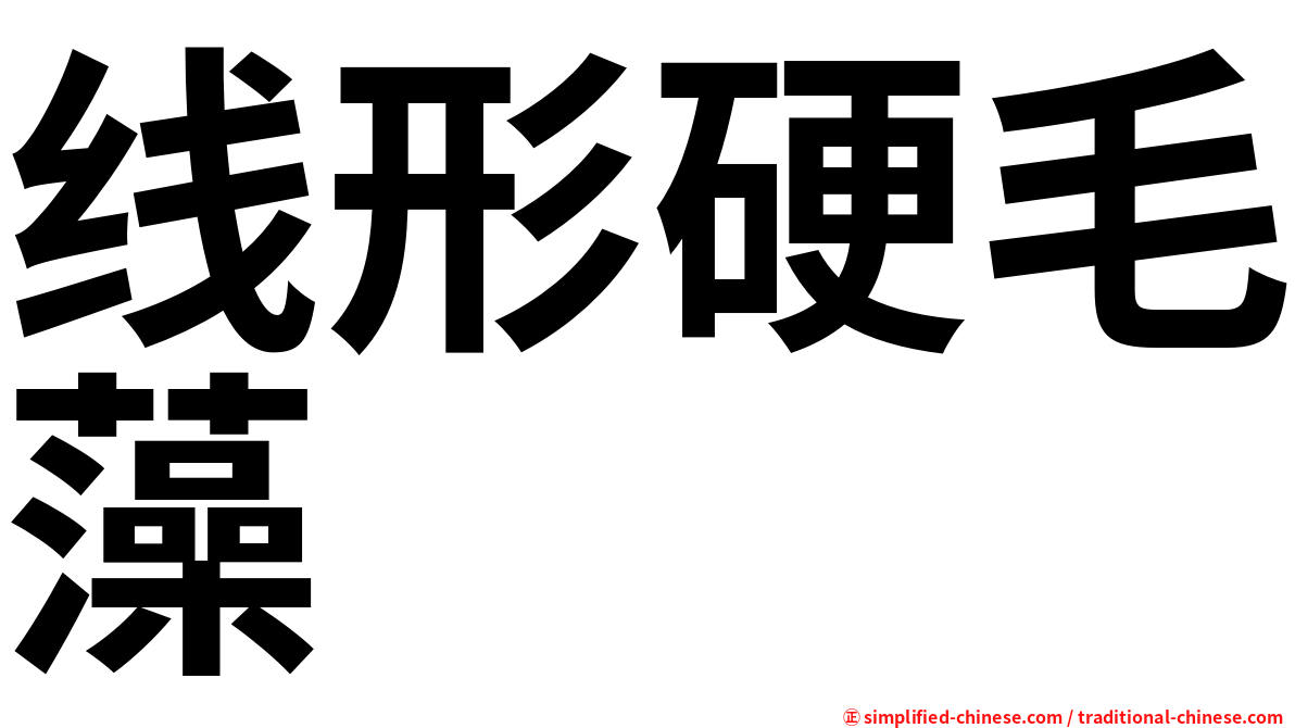 线形硬毛藻
