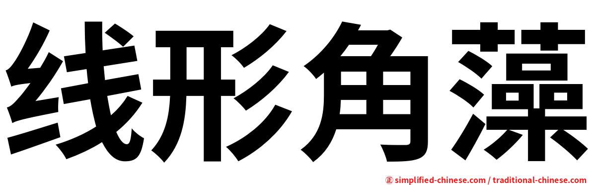 线形角藻
