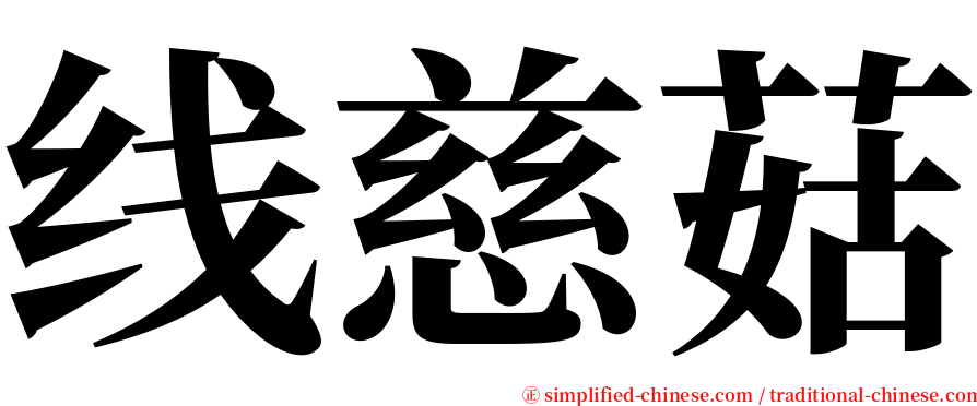 线慈菇 serif font