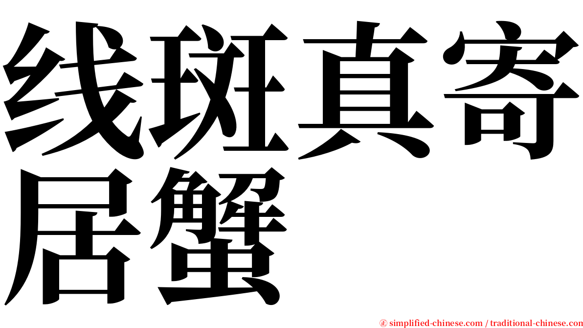 线斑真寄居蟹 serif font