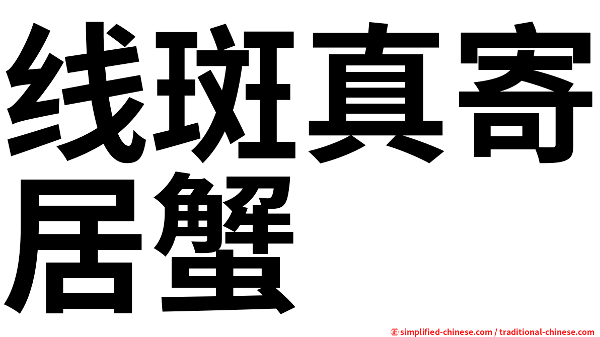 线斑真寄居蟹