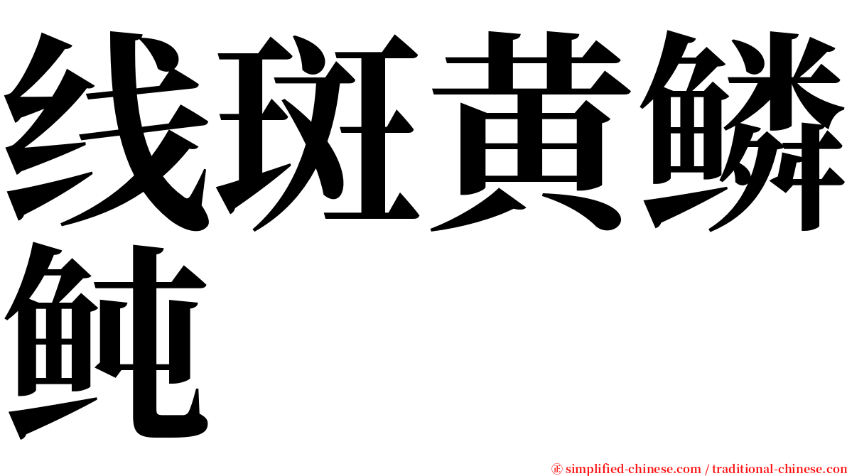 线斑黄鳞鲀 serif font