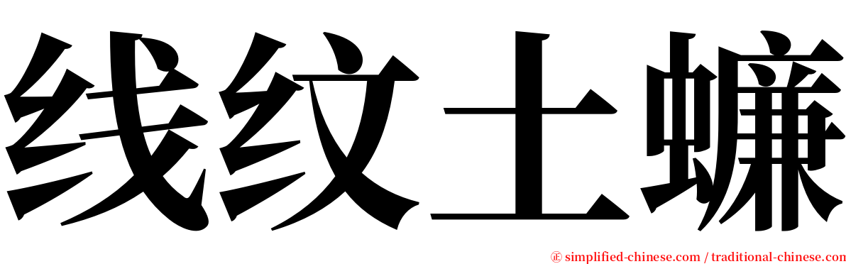 线纹土蠊 serif font