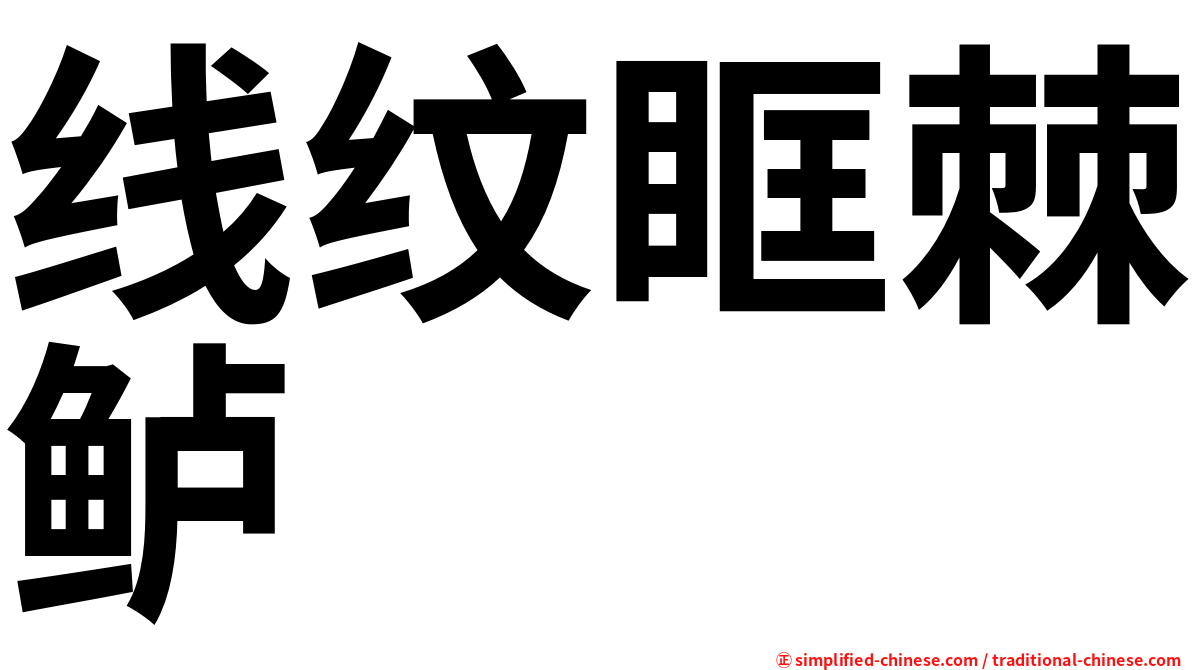 线纹眶棘鲈