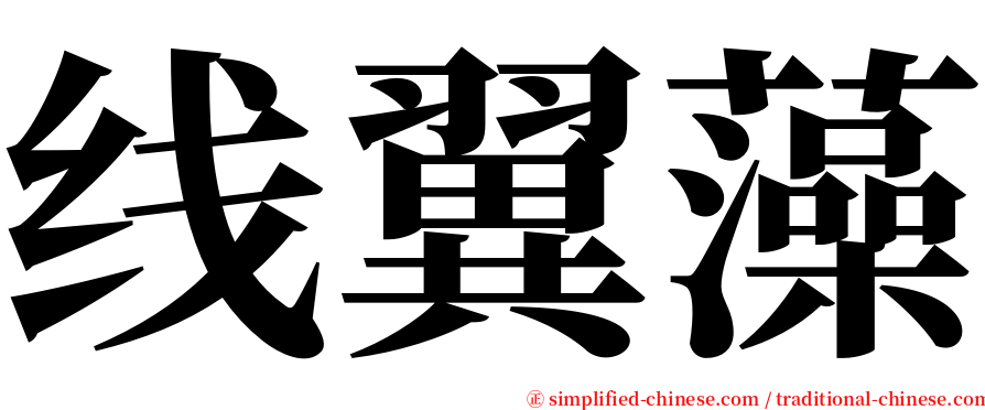 线翼藻 serif font