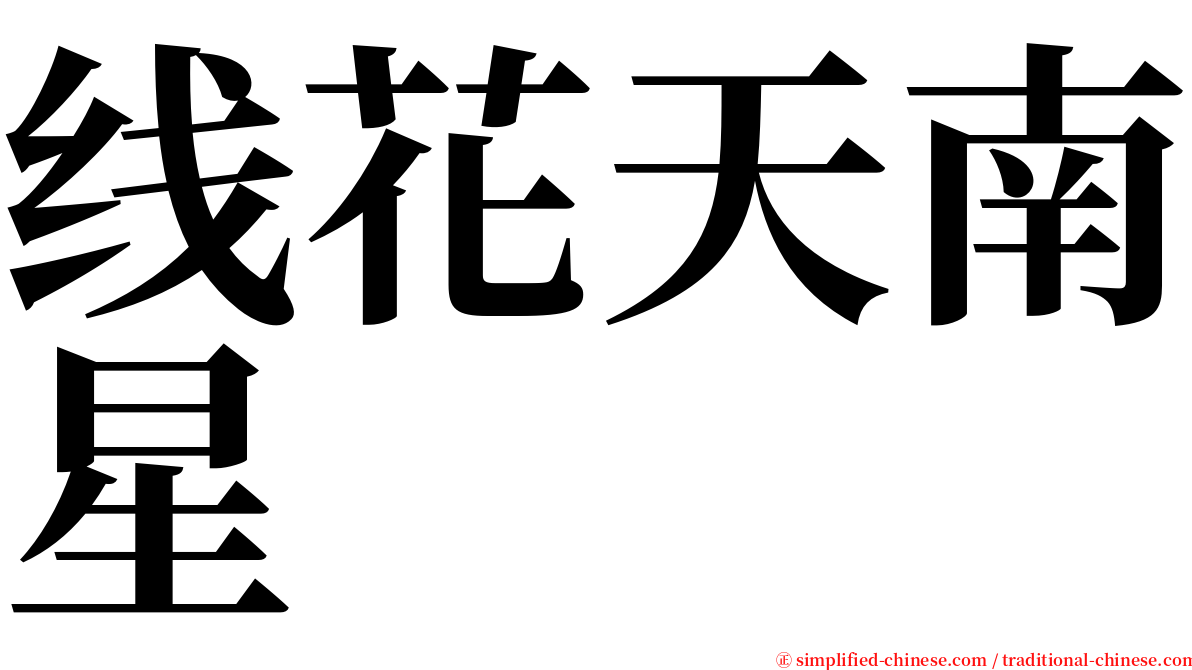 线花天南星 serif font