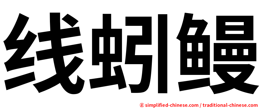 线蚓鳗