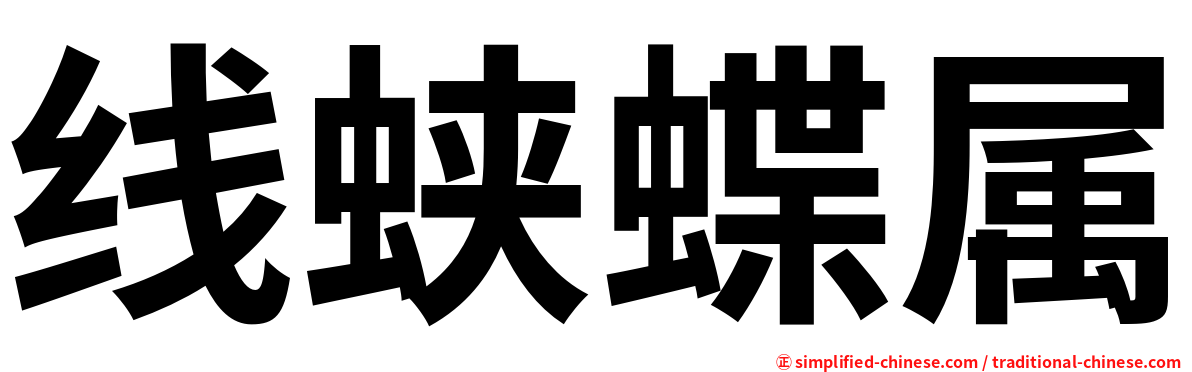 线蛱蝶属