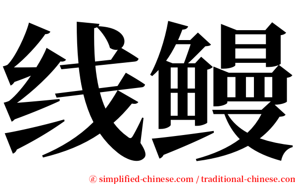 线鳗 serif font