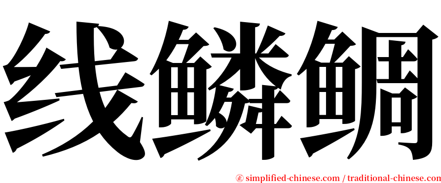 线鳞鲷 serif font