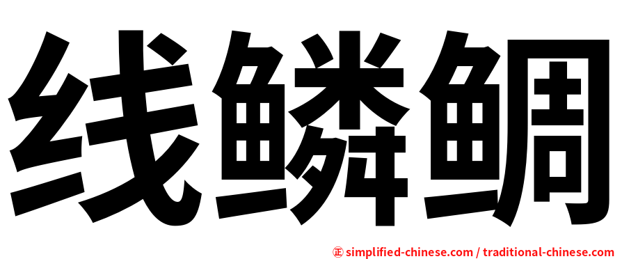 线鳞鲷