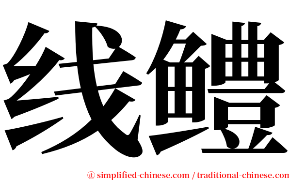 线鳢 serif font