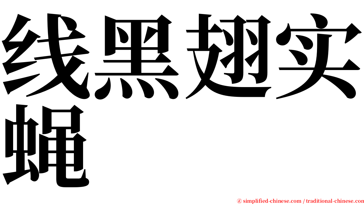 线黑翅实蝇 serif font