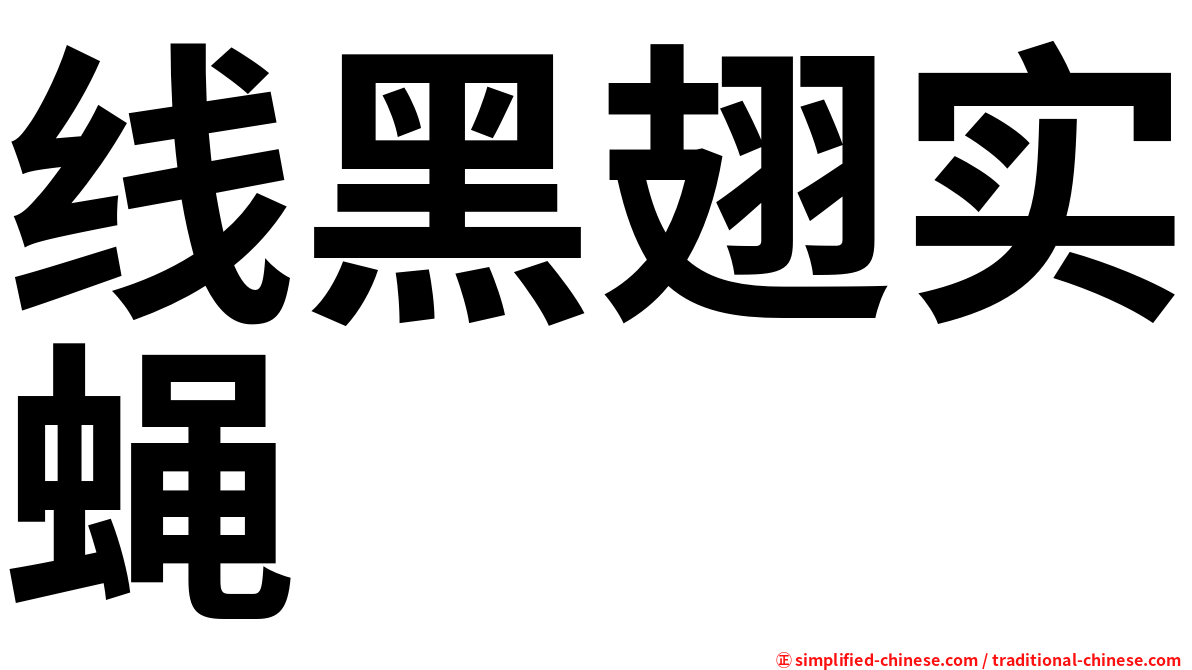 线黑翅实蝇