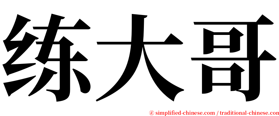 练大哥 serif font