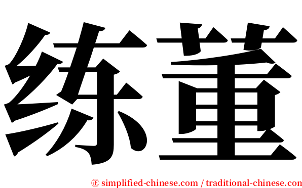练董 serif font