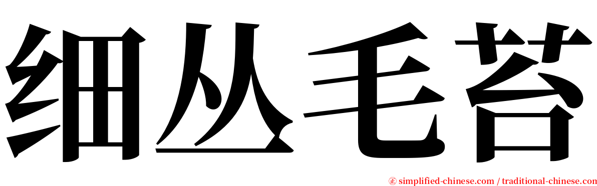 细丛毛苔 serif font