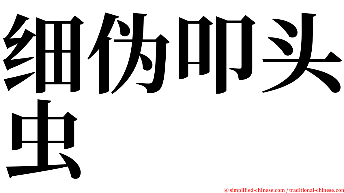 细伪叩头虫 serif font