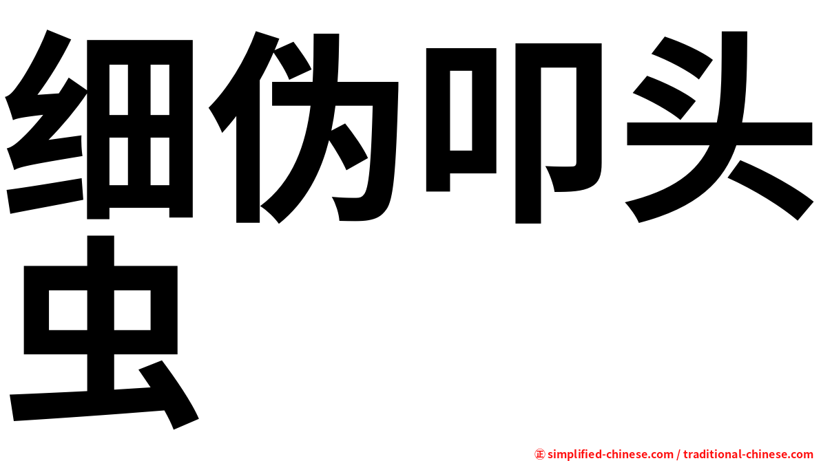 细伪叩头虫