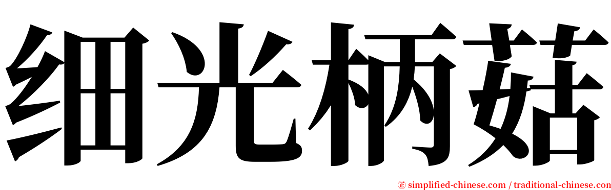 细光柄菇 serif font