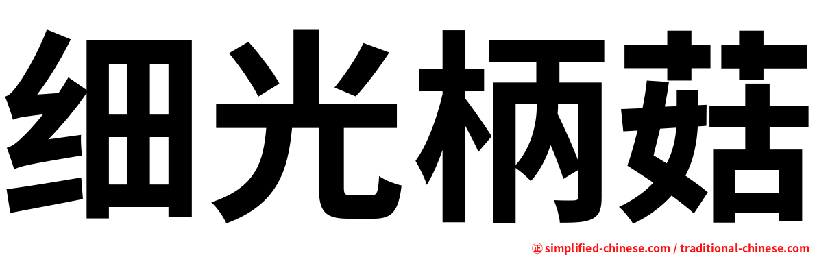 细光柄菇