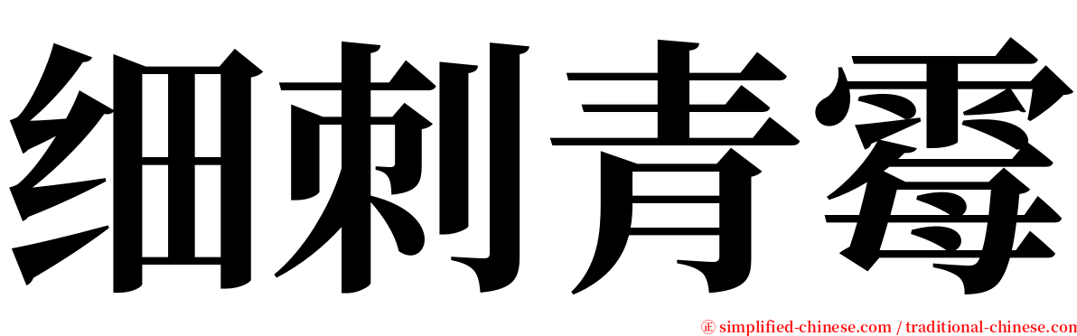 细刺青霉 serif font