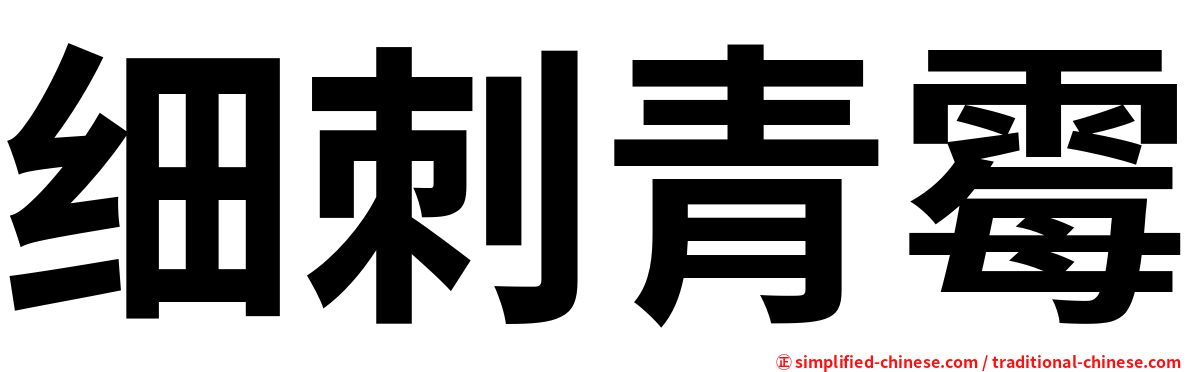 细刺青霉
