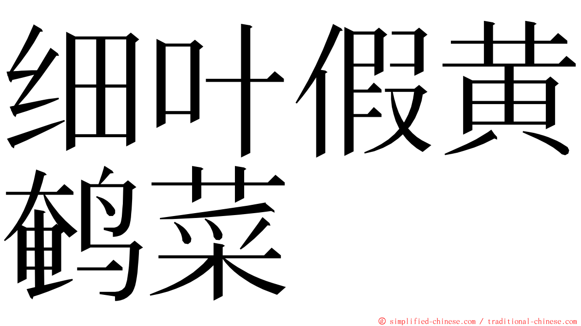 细叶假黄鹌菜 ming font
