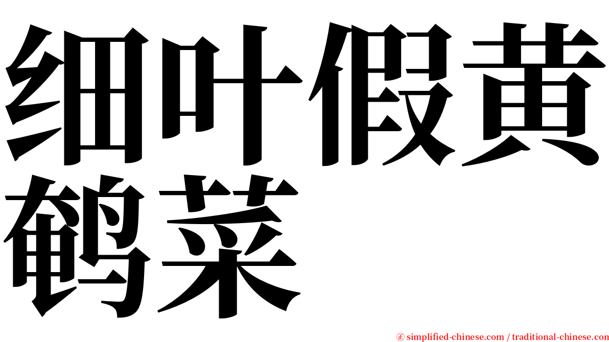 细叶假黄鹌菜 serif font