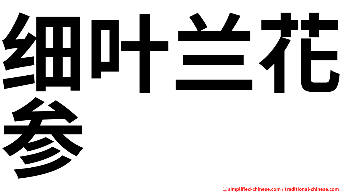 细叶兰花参