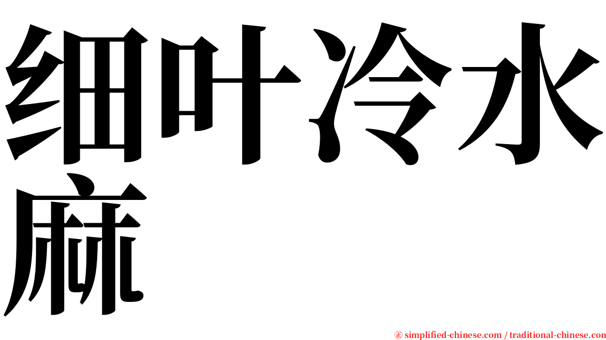 细叶冷水麻 serif font