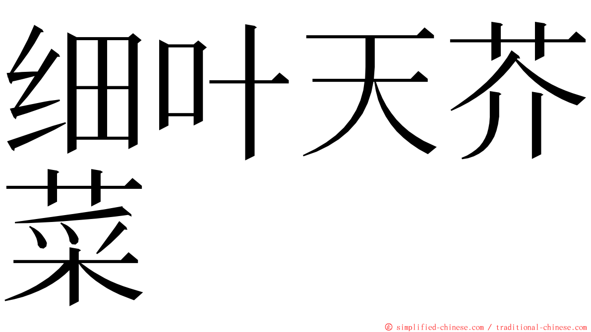 细叶天芥菜 ming font
