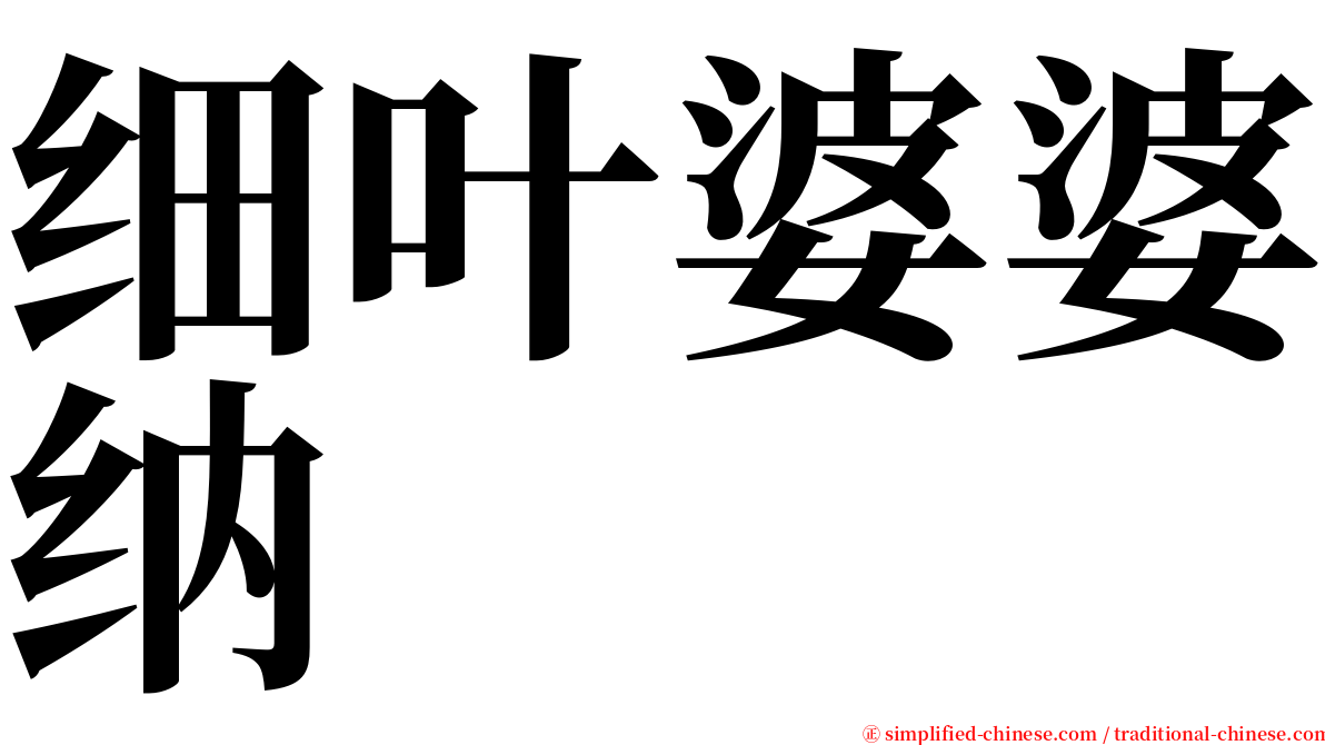 细叶婆婆纳 serif font