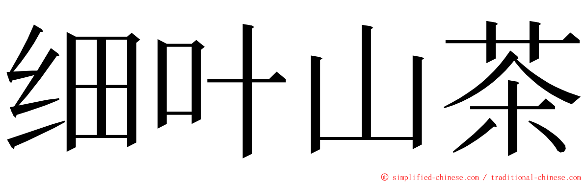 细叶山茶 ming font