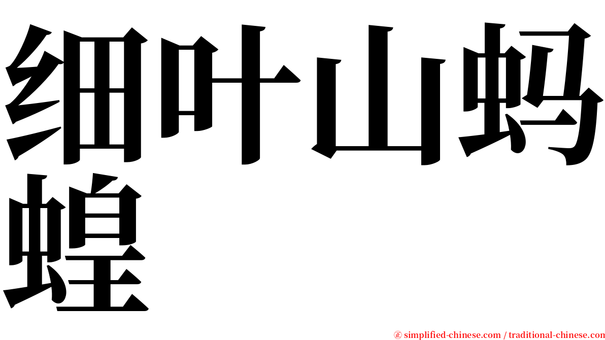 细叶山蚂蝗 serif font