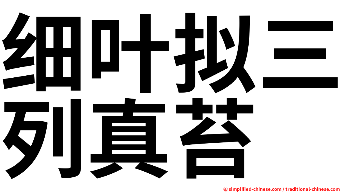 细叶拟三列真苔