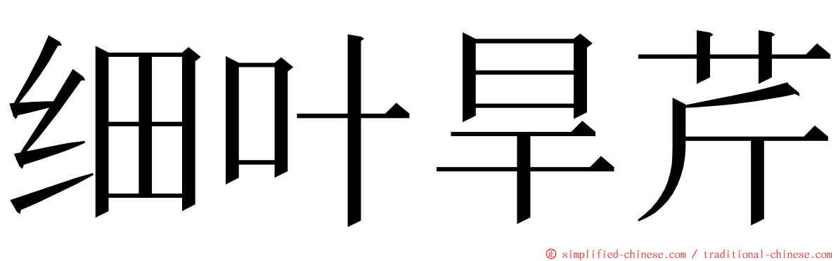 细叶旱芹 ming font