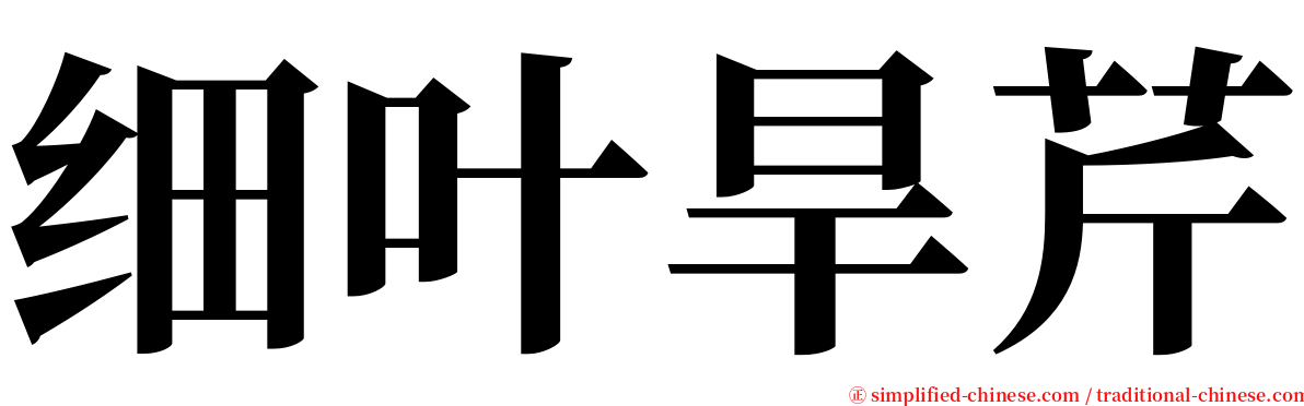 细叶旱芹 serif font