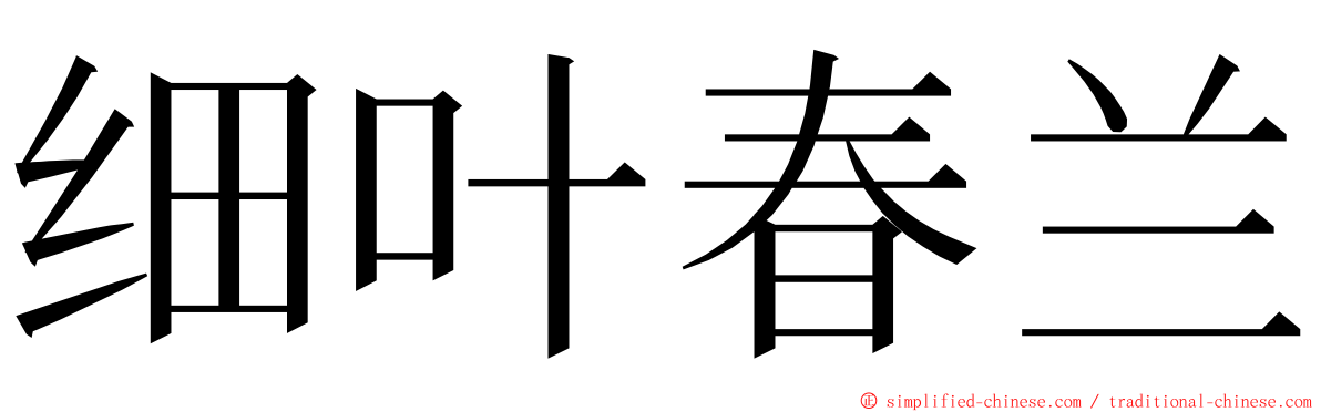 细叶春兰 ming font