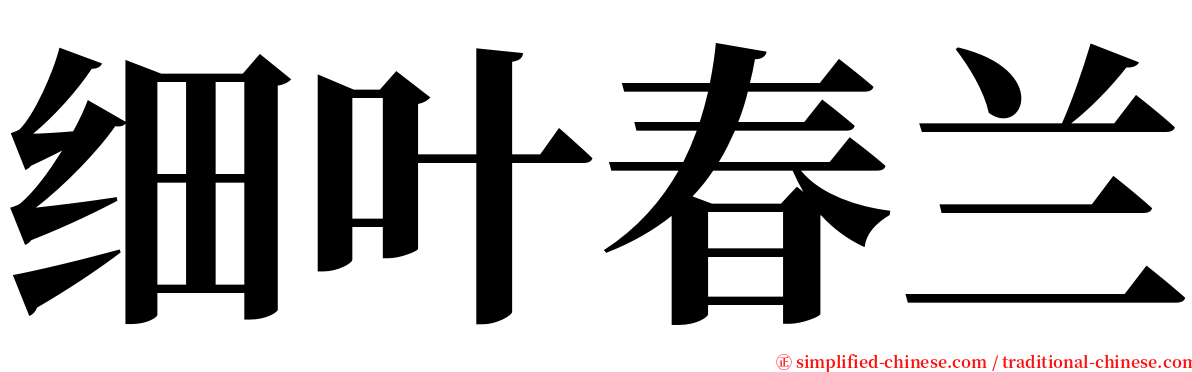 细叶春兰 serif font