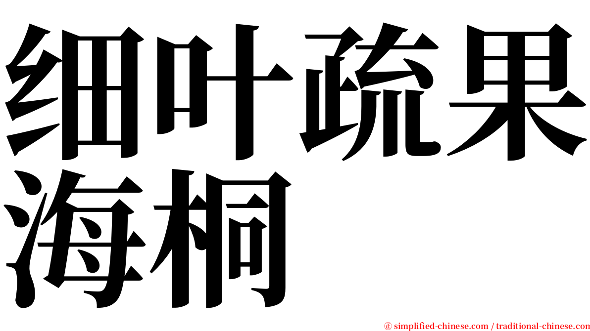 细叶疏果海桐 serif font