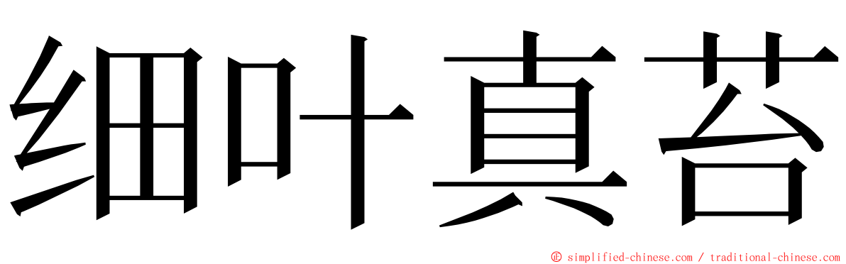 细叶真苔 ming font