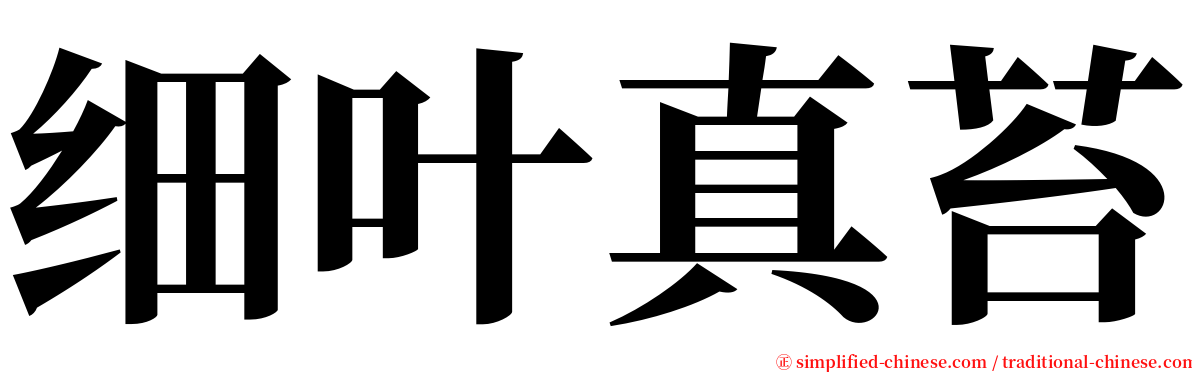 细叶真苔 serif font