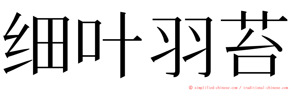 细叶羽苔 ming font